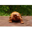 Figurine / sculpture animaux Azuredee