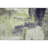 Premium Machine Washable Natoma AMF1068 Modern Rug-1382607297