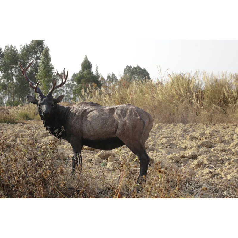 NORTH AMERICAN ELK STATUE