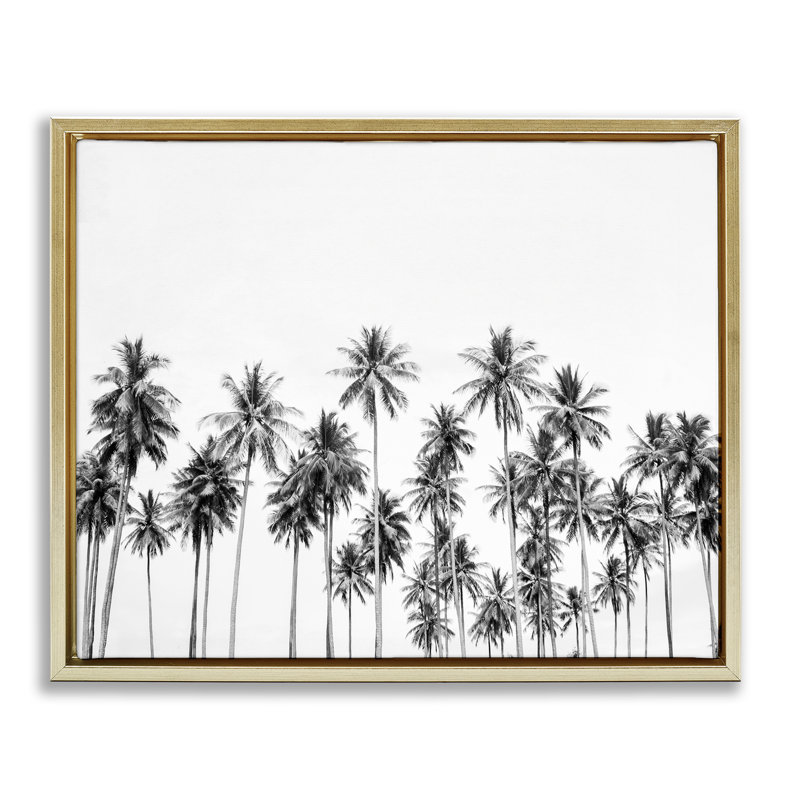 Palmiers paradis dans un cadre flottant monochrome, design par Sissi et Seb, H 25 po x l 31 po