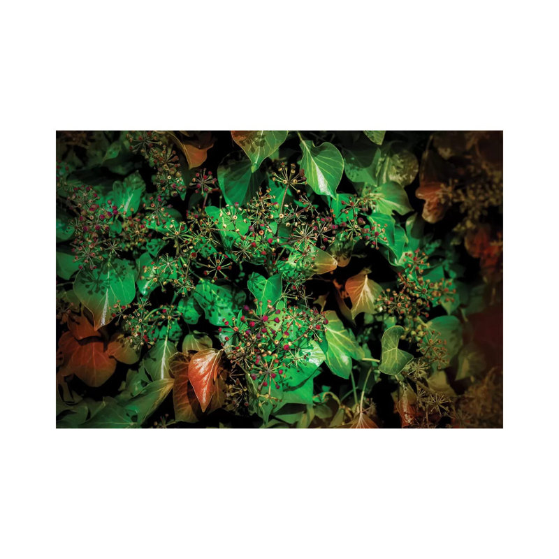 Autumn Leaves by Beli - Wrapped Canvas Print, 20.32 cm H x 30.48 cm W