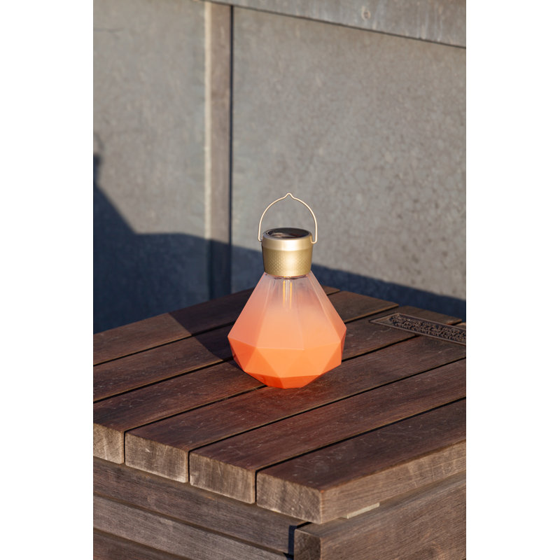 Bahama Coral Solar Powered Outdoor Hanging Light with Edison Bulb