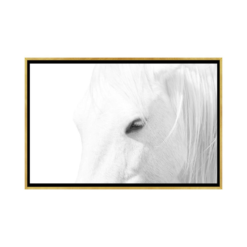 « Cheval blanc » par Marco Carmassi-impression d’art graphique, Toile encadrée d'or, Pas de tapis, H 40 po x l 60 po x 1,5 po