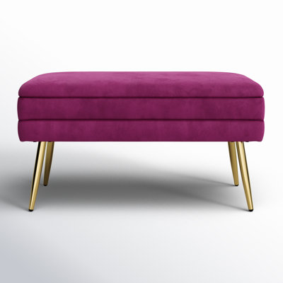 Banc de rangement rembourré et amovible Grayton