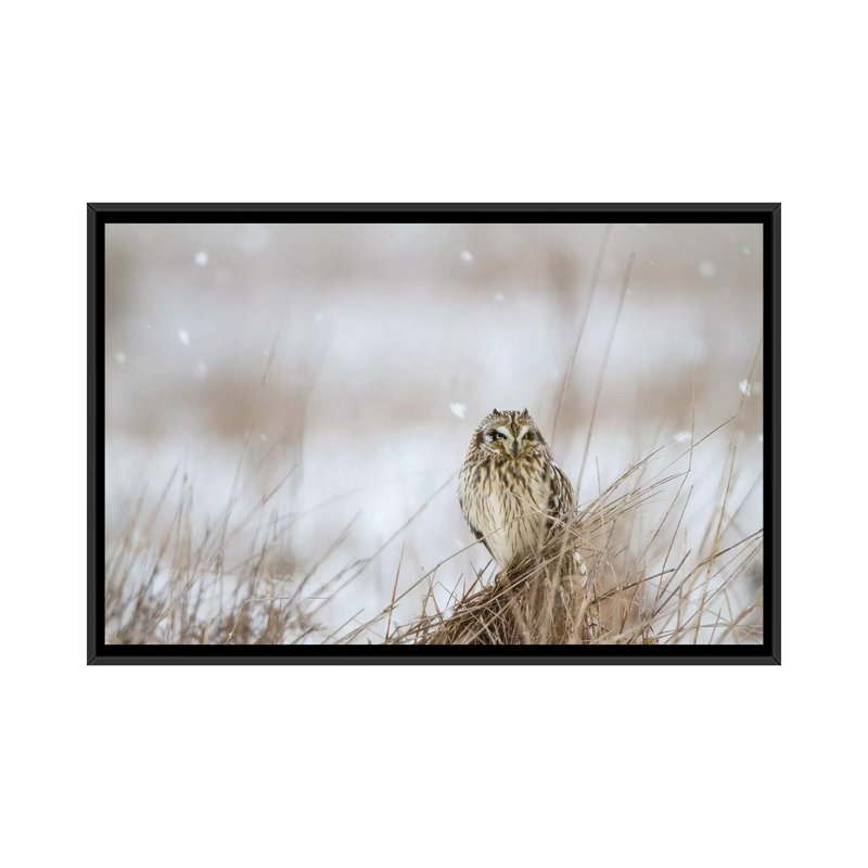 Prairie winter, impression sur toile, H 18 po x l 26 po x P 1,5 po, Toile avec cadre noir, Pas de tapis