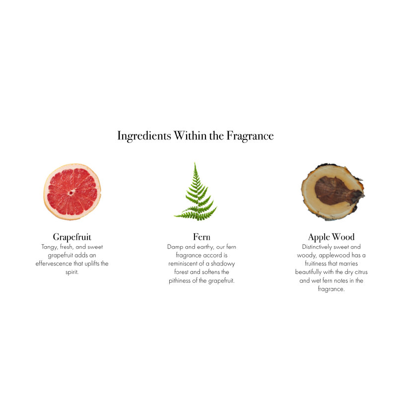 White Grapefruit Scented Jar Candle, 3" H x 3" W x 3" D