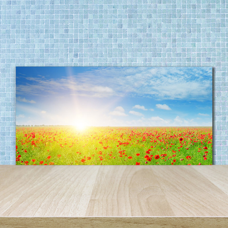 50cm W x 100cm L Glass Peel and Stick Panel