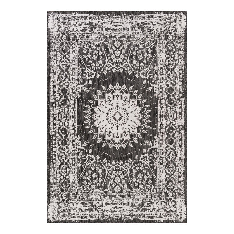 Ornate Lamotte Indoor/Outdoor Area Rug, Rectangle 5'3" x 8'
