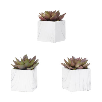 6'' Faux Rose Echeveria Succulent in Ceramic Pot