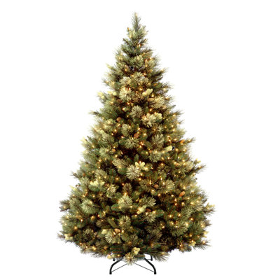 The Holiday Aisle® Carolina Pine Tree with Clear Lights