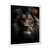 White Single Picture Framed