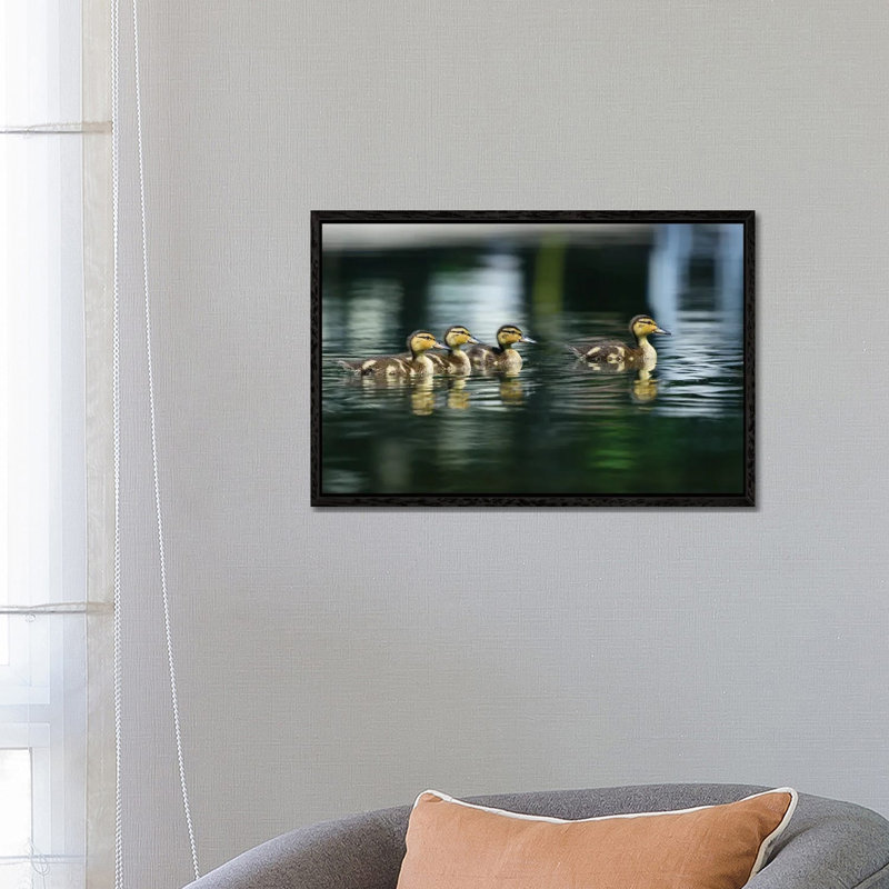 Where’s Mom? by David Gardiner - Print on Canvas, Black Framed, 66.04 cm H x 45.72 cm W