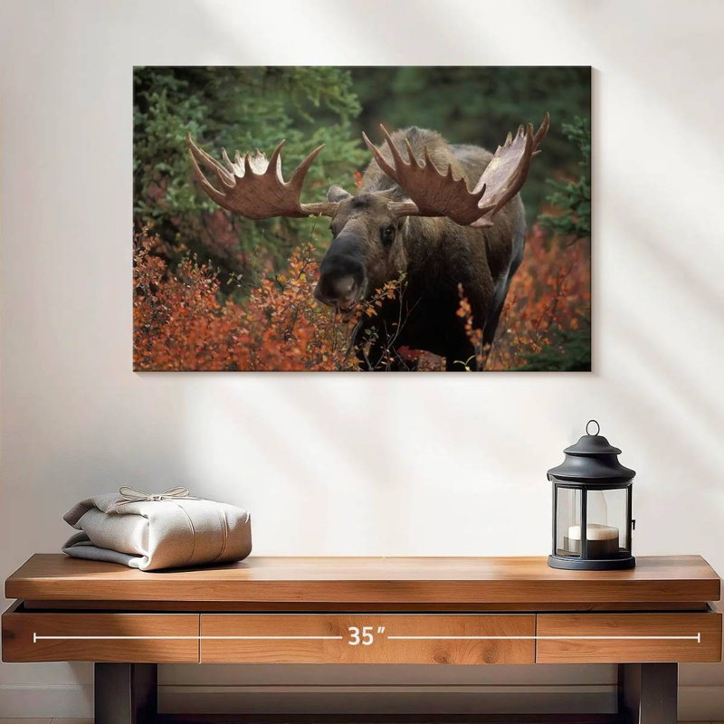 Brampt Moose Forest Meal, 16" H x 24" W
