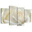 Rose blanche Harnek Dewy-108902574