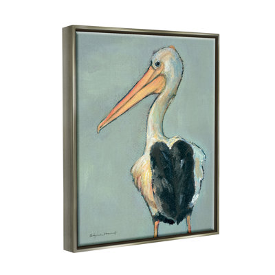 " Pelican Bird Wildlife "