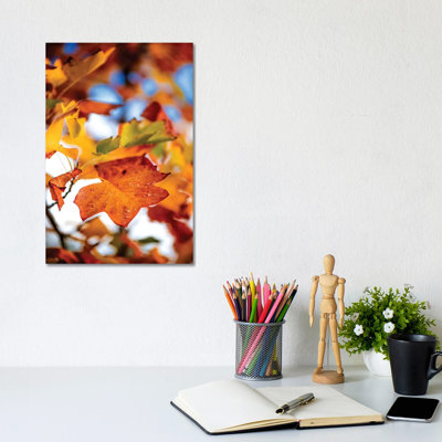 Leaves Of Tulipier by Philippe Sainte-Laudy - Wrapped Canvas Print