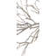 Enfolding Boughs II Print by David Brown-50515507-63171333
