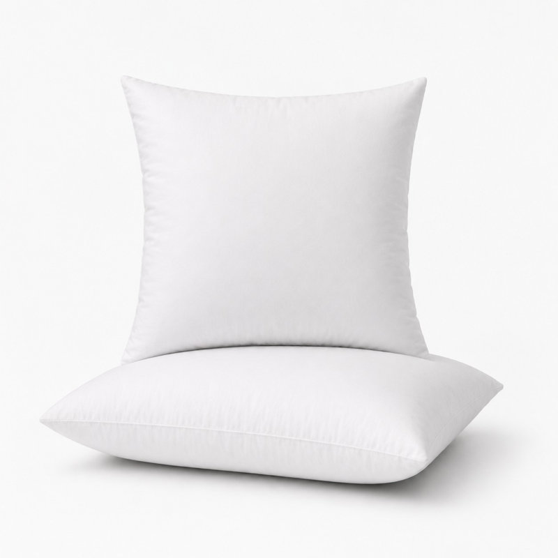 Feather Sham Insert - Square Feather Filled Decorative Pillow Insert - Twin Pack - 22" x 22" - White, 22" x 22", Duck feather