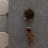 Ryleigh-1999565138