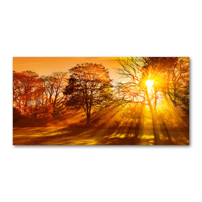 50cm W x 100cm L Glass Peel and Stick Panel