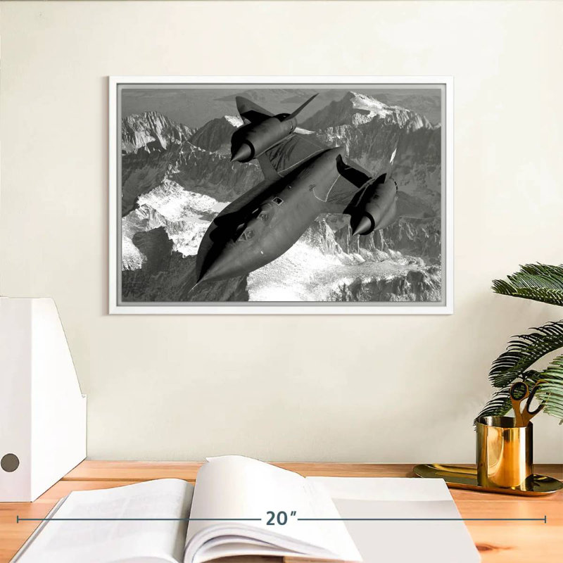 SR-71 merle, Cadre flottant blanc, 13 po x 9 po