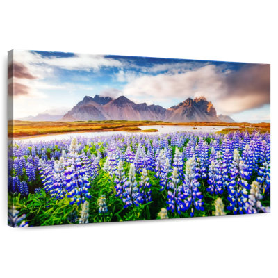 Harnek Majestic Lupines