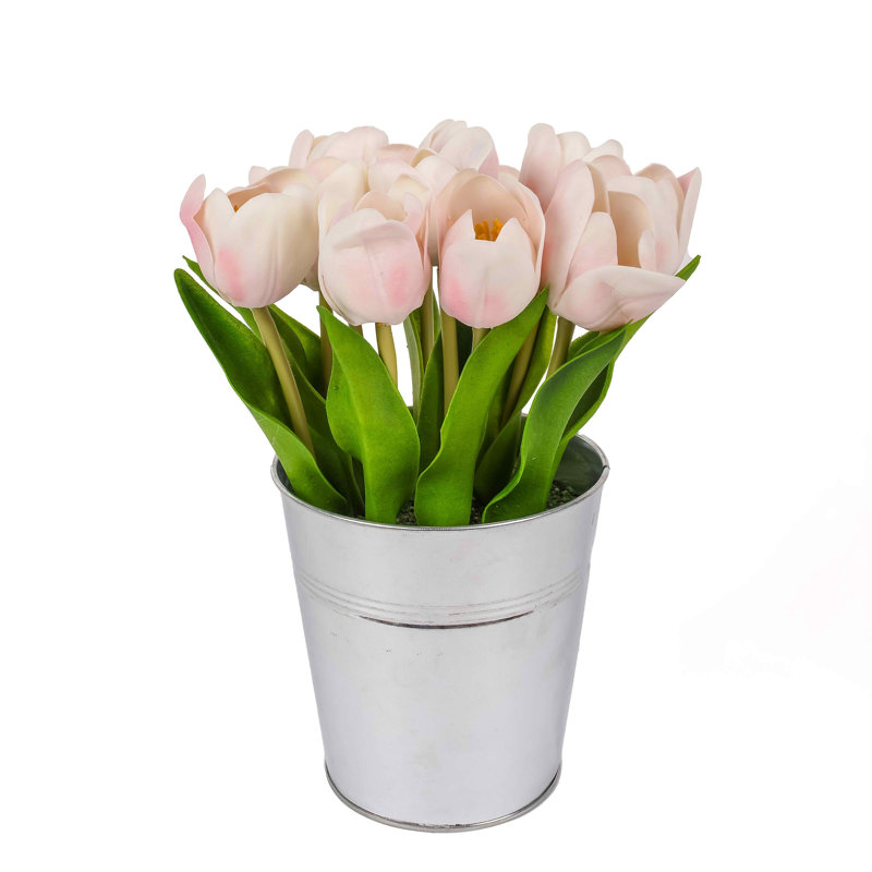 Bouquet de tulipes, Rose
