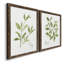 Toile encadrée Herb Sage-Premium - prête à être accrochée-652120135-652120134