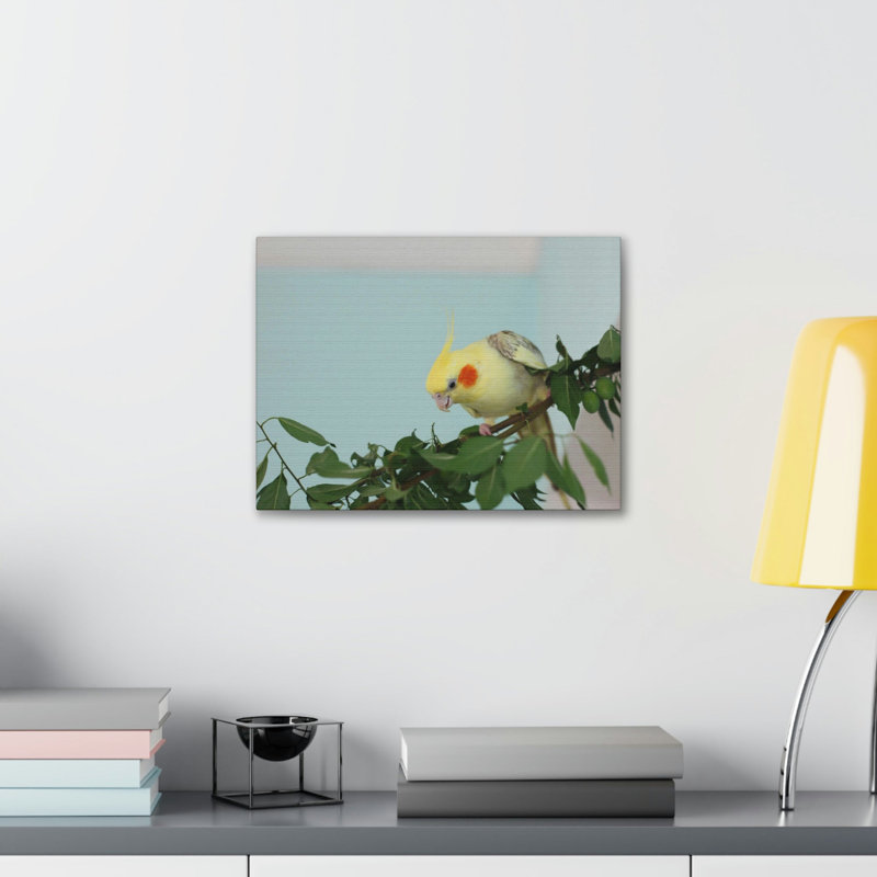 No Frame Print on Canvas, 12cm H x 18cm W