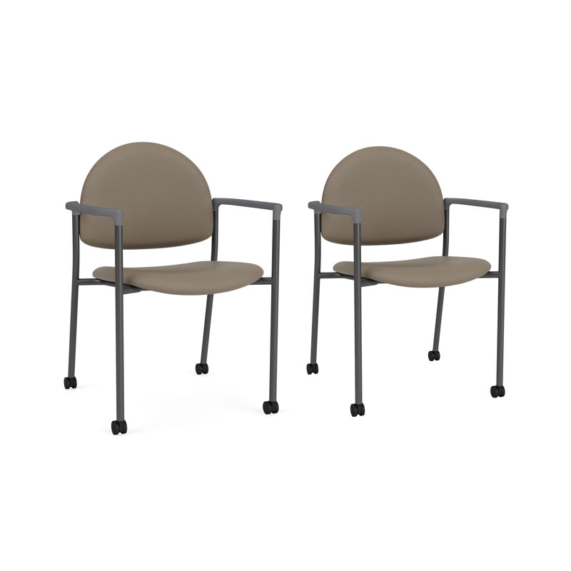 Chaise d'invité à chat avec roulettes, Gris anthracite, Modena blé