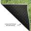 Premium Machine Washable Kiyondrea Aloe Rug-913918410