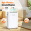 White Energy-Saving Dehumidifier