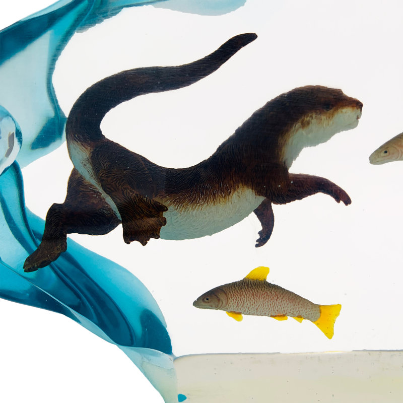Loutre de mer Pitman avec poisson