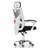 Franck Mesh Task Chair with Headrest