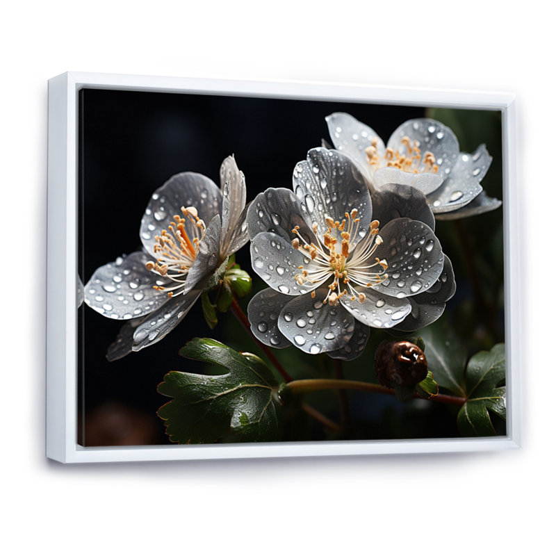 Gris géraniums champ I - impression, H 12 po x l 20 po x P 1 po, Cadre flottant blanc