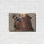 «Bulldog» par Thomas Fluharty-952851623