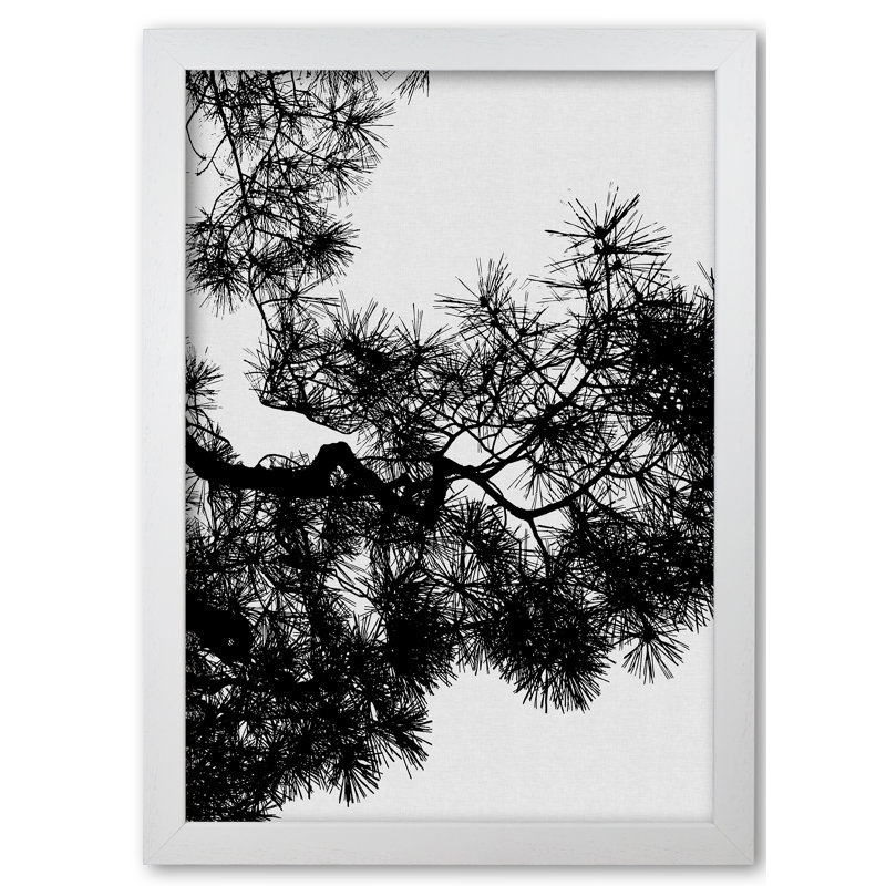 Pine Tree Black & White - Print, White Grain Frame, 60 cm H x 42 cm W x 5 cm D