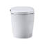 Combiné de bidet de toilette intelligent avec buse autonettoyante, siège chauffant, veilleuse, commande à bouton, chasse d'eau en cas de panne de courant, fermeture en douceur, chasse automatique, avec télécommande