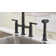 VIBRANTBATH Kitchen Faucet with Side Spray