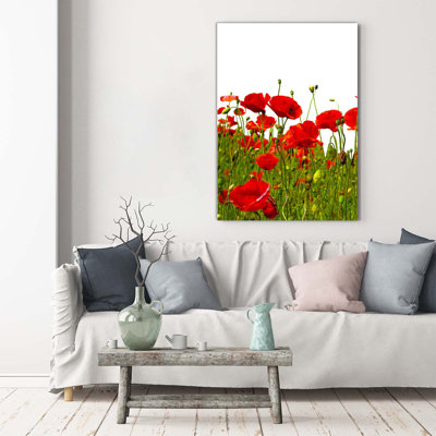 Field Of Poppies - Wrapped Canvas Print