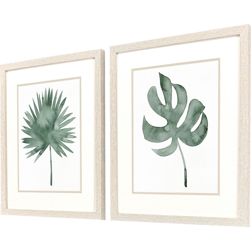 Presse-plantes S / 2