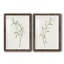 Spindle Sprig III - ensemble de 2 reproductions de cadres photo-751786826-751786830