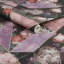 Superfresco Easy Spring 2024 Wallpaper Double Roll