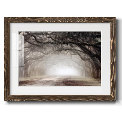 " Timeless Plantation Drive "