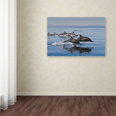 Ann 'Dolphins' Photographic Print on Wrapped Canvas