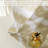 Rory Blackout Curtain-93673771