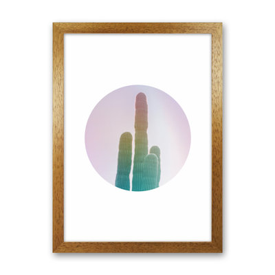 Circular Cacti - Print