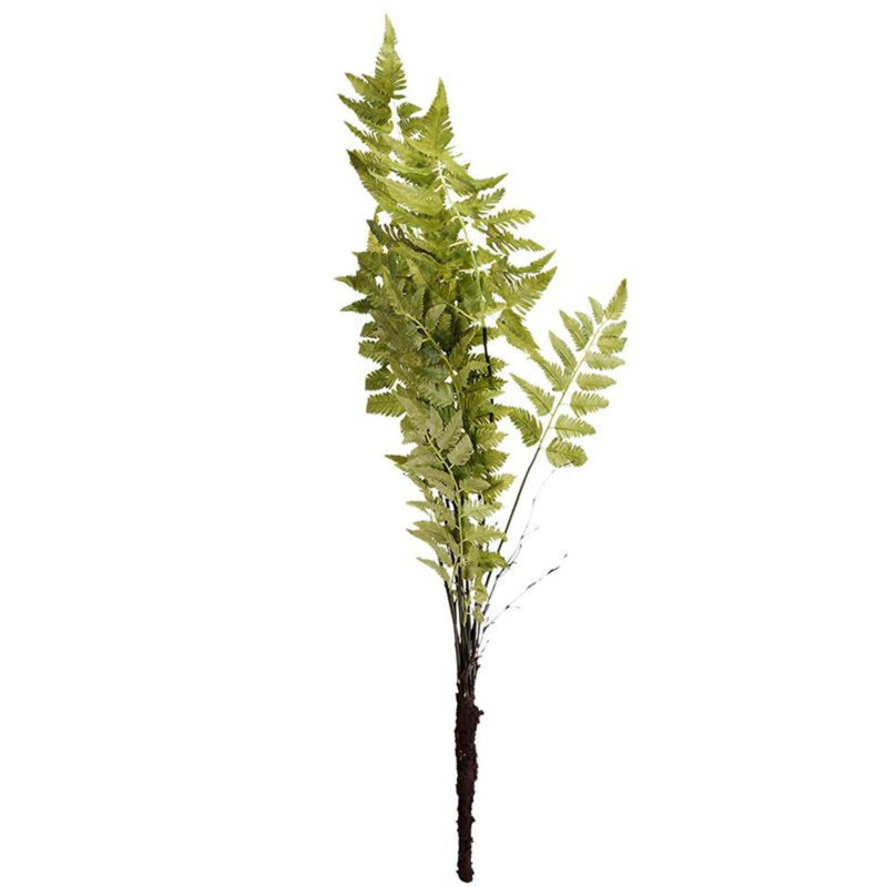 Fern Arrangement