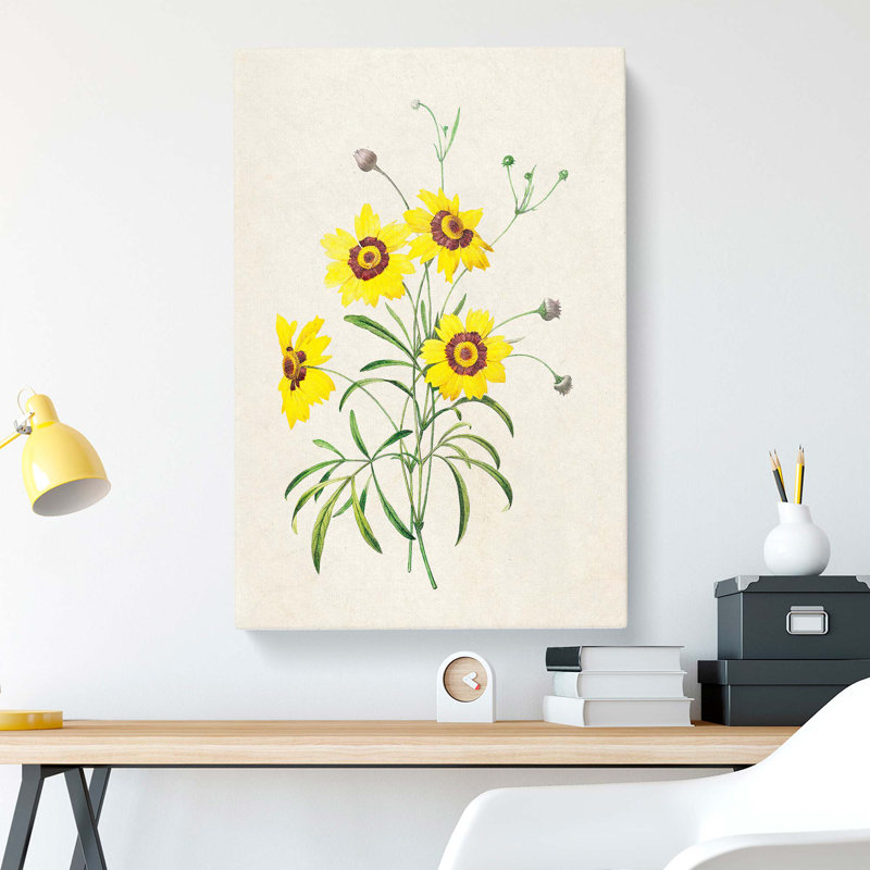 Yellow Tickseed Flowers by Pierre-Joseph Redoute - Wrapped Canvas, 76cm H x 50cm W x 3cm D