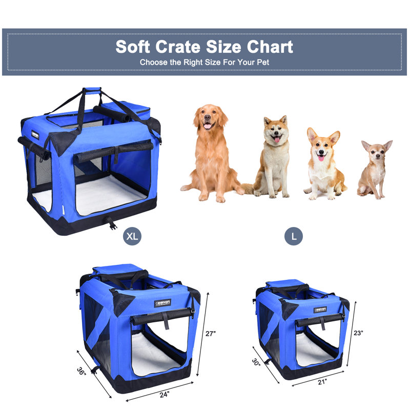 Caisse pour chien Jespet, H 27 po x l 24 po x P 36 po, Bleu